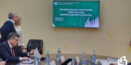 Следующие 5 лет общими усилиями работаем над программой «Чистый лес»