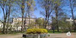 О перспективах парка Ленина и липовых аллей Ленинградского проспекта в Выборге