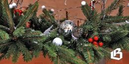 Новогоднее убранство в подъездах необходимо согласовывать