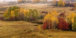 Земельные участки ветеранам СВО предоставят в Ленобласти по-новому