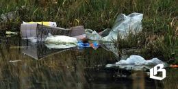 В России возросли штрафы за загрязнение водоемов