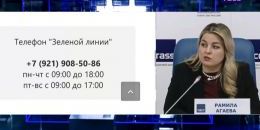 В Ленобласти стартовала ёлочная кампания, идёт подготовка к программе «Чистые леса»