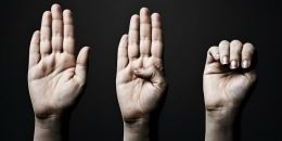 «Госуслуги» запустили новую опцию в разделе «Жизненная ситуация»