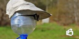 В Ленобласти прошел семинар для садоводов и огородников