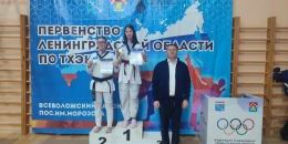 Выборгские тхэквондисты получили «путёвки» на первенство СЗФО 