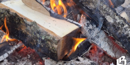 Самой пожароопасной на минувшей неделе в Выборгском районе была суббота