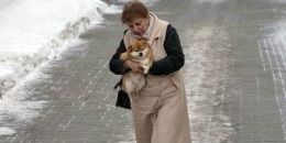 В Выборге собирают подписи против ядовитых реагентов