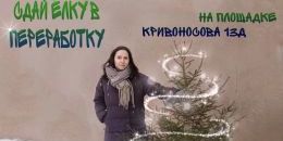 Вторая жизнь новогодней ели: экологичная утилизация