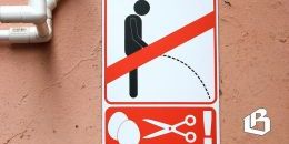 В Госдуме напомнили регионам о необходимости «зеленых остановок»