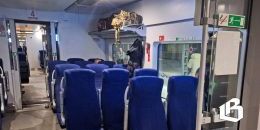 В СЗППК рассказали о прошлогодних «потеряшках»