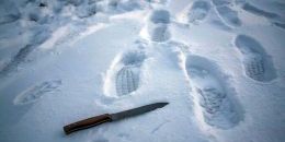 В Выборге задержали подозреваемого в убийстве