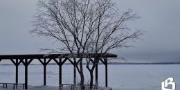 Экоактивисты Ленобласти получили поддержку Президентского фонда природы