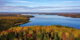 «Чистая Ладога» в действии