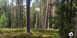 Хочешь стать охотником?