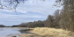 Лесная жемчужина Выборгского района: «Ландышевка»