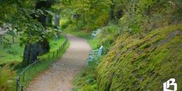 «Монрепо» на просушке: как идёт подготовка к летнему сезону?