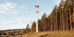 В Ленинградской области энергетики устраняют последствия непогоды