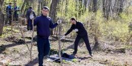 Субботники в Выборге