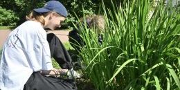 Труд, дружба и доход: выборгский опыт молодёжной занятости