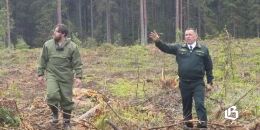 За чистые леса Ленинградской области