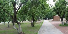 Яблоневый сад украсит Приморск