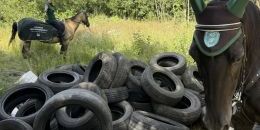 Конная экомилиция приносит результаты
