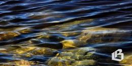 Трагедия на воде: сапбордист не вернулся домой