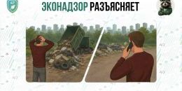 Фиксация, звонок, контроль: инструкция для неравнодушных от Эконадзора