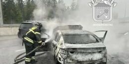 Автомобиль вспыхнул после удара о барьер на трассе «Скандинавия»