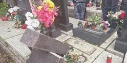 Наряд Росгвардии задержал правонарушителя, повредившего надгробие на кладбище в Санкт-Петербурге   