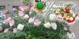 Сегодня День учителя!