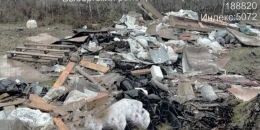 Лес в Выборгском районе очистили от огромной свалки