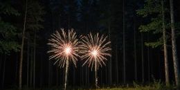 Минприроды хочет запретить использование пиротехники в лесах